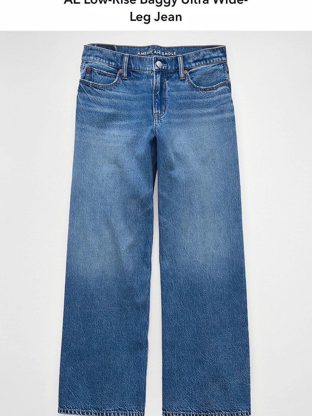 AE Low-Rise Baggy Ultra Wide- Leg Jean